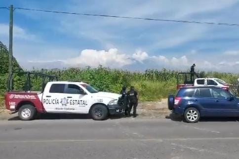 Encuentran Cad Ver Desmembrado En Santa Isabel Cholula Epicentro Diario