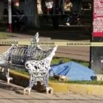 Policía Estatal y municipal de Amozoc capturan a presuntos asaltantes de una tienda Coppel