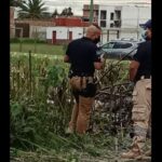 Gobiernos de Claudia Rivera y Miguel Barbosa contrataron grupos pirata para 15 de septiembre
