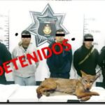 Cae en zanja y exige al gobierno de Claudia Rivera le paguen los daños