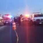 Perros atacan y comen a abuelito en Tlaxcalancingo; exigen atrapar a los canes