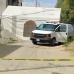Localizan cadáver embolsado que era devorado por lo perros en La Resurrección