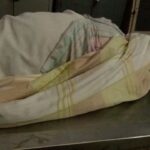 Asegura Eduardo Rivera que se han podado 10 mil 875 metros cuadrados de camellones y áreas verdes