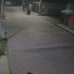 Elementos de la SSP detuvieron a presunto huachigacero en Coronango