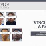 Frío en Puebla afecta cultivos de aguacate