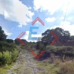 Foto: Aparece un masculino en la carretera Huixcolotla – Acatzingo