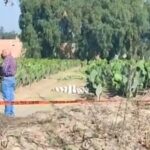 Habrá elección extraordinaria en San Jerónimo Caleras por irregularidades