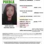 Gobierno del estado apoyará en la rehabilitación del edificio del DIF municipal de San Andrés Cholula: Edmundo Tlatehui