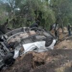 Reses mueren por envenenamiento en San Pablo Anicano