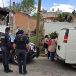 Son robados 4 lechones de un domicilio en Tecamachalco
