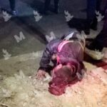 Sujeto asesina a su mujer en la Ignacio Romero Vargas; el hombre se entregó ante la FGE