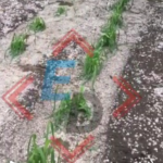 Seguridad de Ferina Roof Top propina golpiza a cuatro jóvenes