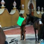 Conductor ebrio atropella a pareja matando a un hombre en la recta a Cholula