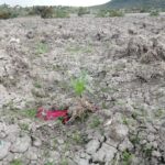 Aguilas Reales de Cuautlancingo se corona campeón y se consolida como proyecto deportivo juvenil