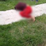Presunto integrante del grupo delictivo de El Grillo fue ejecutado a balazos en el Mercado Morelos