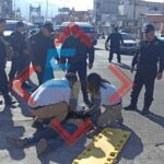 Indignación total: Perro cae de la azotea y es devorado por otros en la junta auxiliar de Chachapa en Amozoc.