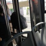Perrera de Coronango mato a cinco perritos en  Misiones De San Francisco