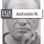 Conductor se impacta contra un árbol en Reforma Sur y termina dándose a la fuga.