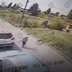 Ejecutan de varios disparos a un carnicero en el municipio de Zacatlán.