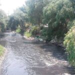 Chofer de transporte público es baleado mientras se encontraba circulando sobre la autopista Tlaxcala-Texmelucan