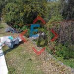 Conductor presuntamente alcoholizado arrolló a cuatro ciclistas en San Pedro Cholula, Puebla.