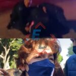 Eduardo E quien se hacia pasar por repartidor de comida le es hallado 17 bolsas con Cristal en Periplaza