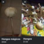 Suman 6 casos de patrullas municipios de Puebla, que se han volcado