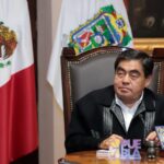 En la colonia Joaquín Colombres es hallado un cocodrilo sin vida de aproximadamente 30 centímetros