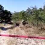 Aproximadamente 60 migrantes fueron detenido en Tepeaca
