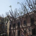 Tras accidente en la Cuacnopalan-Oaxaca familiares de migrantes siguen en busca de sus allegados
