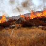 Josue N y Gerardo N son detenidos por portación de arma de fuego y narcomenudeo