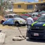 Abandonan camioneta con dos cadáveres calcinados en Jolalpan, Puebla
