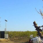 Cuatro policías estatales detenidos acusados de secuestrar a un locatario y robar dos vehículos en Cuautlancingo