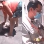 Vientos provocan caída de árbol en Atlixco