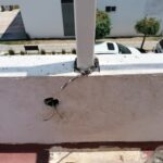 Debe existir mayor vigilancia en actividades de esparcimiento, tras caso de atropellamientos a tres ciclistas 
