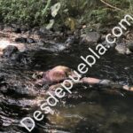 Director de seguridad bofetea a comerciantes de Acatzingo
