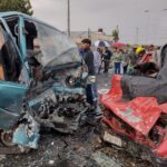 Wanda la perrita que se encarga de combatir el narcotrafico en Puebla
