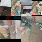 Vecinos denuncian maltrato animal en Bosques 5 de febrero en Puebla