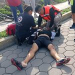 Camioneta se accidenta en la Amozoc-Perote y descubren que transportaba tortugas de manera ilegal