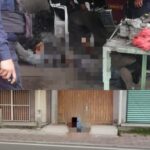 Fiscalía ya investiga muerte de Simba, perrito arrojado del último piso del Edificio 1 del Andador San Pedro