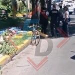 Captan a anciano envenenando croquetas para lomitos en situación de calle, en Metepec