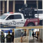 Colectivos animalistas piden justicia por casos de maltrato animal en Puebla