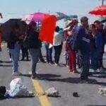 Alcalde de Morena en Tangancícuaro asesinó a dos perritas