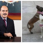 Alertan presencia de delincuentes que operan con modus operandi de «La llanta ponchada» en la capital poblana