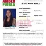 Arrumbada y sin fecha de apertura la nueva unidad médica del IMSS en Cuautlancingo