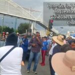 Gobernación y Smadsot atienden nuevo caso de maltrato animal en Puebla