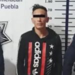 La jirafa Benito si llegará a Puebla es oficial