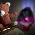 Cachorro cae a una barranca y logra sobrevivir