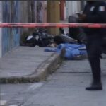 Publican reformas a Ley de Bienestar Animal tras muerte de Elena Larrea