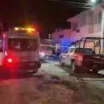 Caballo de Cuacolandia quedarán en resguardo de la Secretaría de Medio Ambiente, tras muerte de Elena Larrea